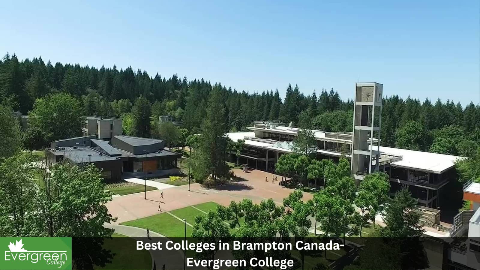 Photo of Evergreen College