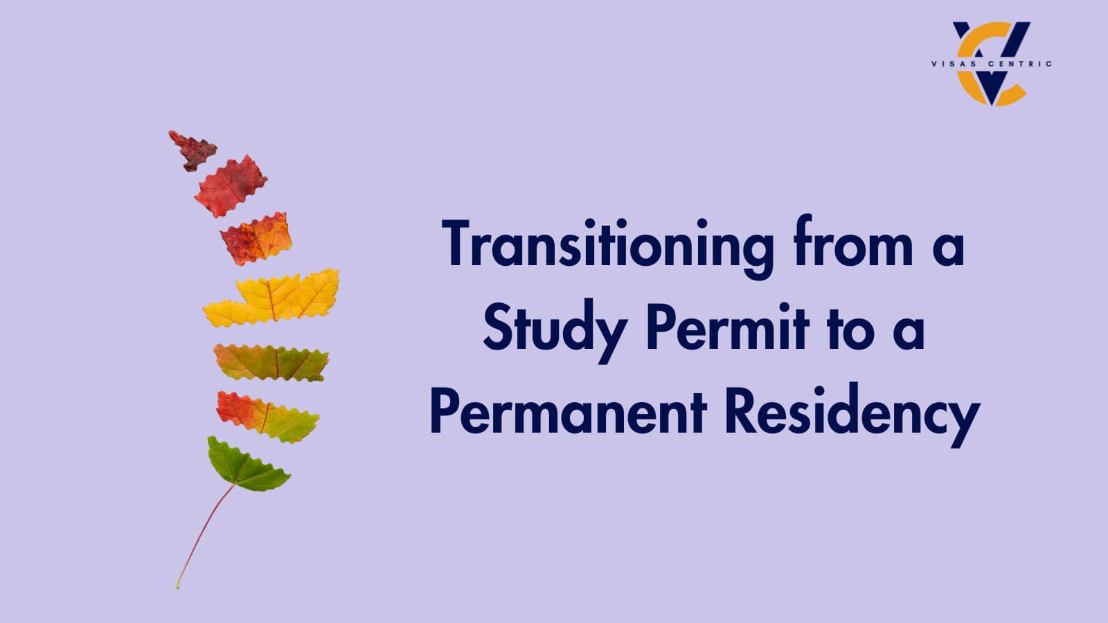 Transitioning from a Study Permit to a Permanent Residency